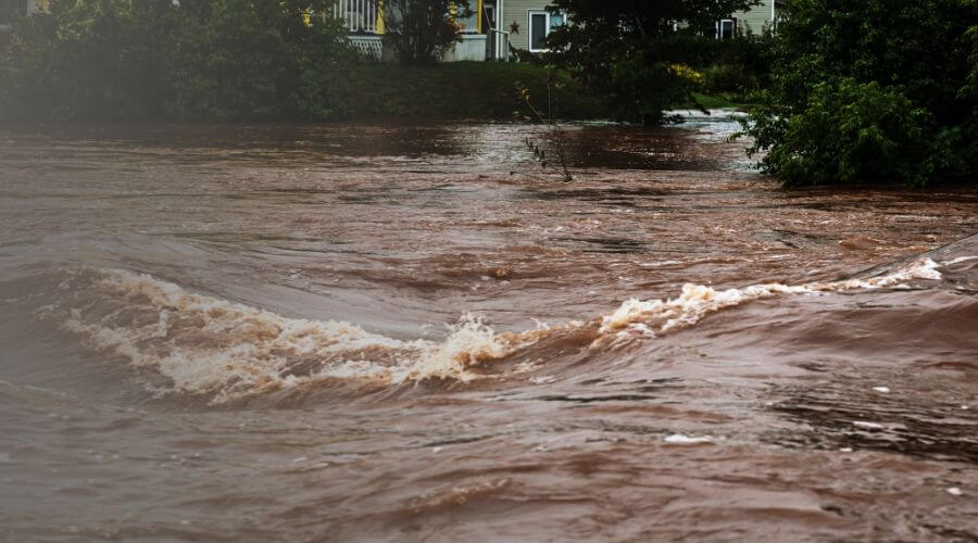 Why choose SureSprout Pros for water damage restoration in Victorville